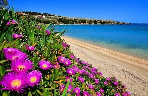 Little Heaven On Earth - Martina 3*